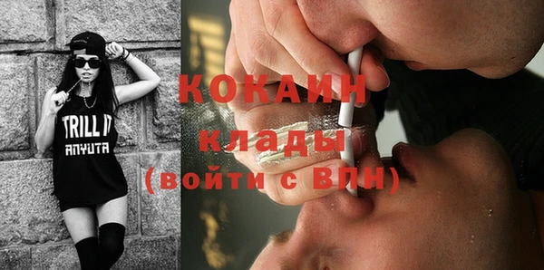 ГАЛЛЮЦИНОГЕННЫЕ ГРИБЫ Абаза