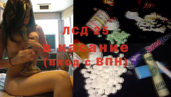 ГАЛЛЮЦИНОГЕННЫЕ ГРИБЫ Абаза