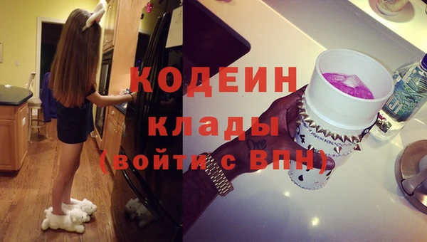 ГАЛЛЮЦИНОГЕННЫЕ ГРИБЫ Абаза